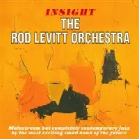 ROD LEVITT / ロッドレビット / INSIGHT + SOLID GROUND