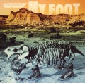 the pillows / ザ・ピロウズ / MY FOOT