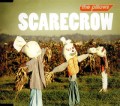 the pillows / ザ・ピロウズ / SCARECROW / スケアクロウ
