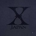 X JAPAN / X JAPAN ART OF LIFE