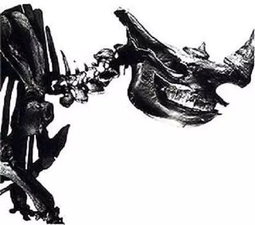 Mr.Children / ミスター・チルドレン / MR.CHILDREN 1996-2000