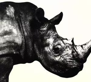 Mr.Children / ミスター・チルドレン / Mr.Children 1992-1995