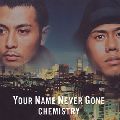 CHEMISTRY / ケミストリー / YOUR NAME NEVER GONE|NOW OR NEVER|YOU GOT ME