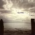 清春 / VINNYBEACH~架空の海岸~(初回)