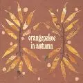 orange pekoe / orangepekoe in autumn