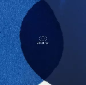 sakanaction kikUUiki 12インチレコード sakanaction kikUUiki 12インチレコード サカナクション