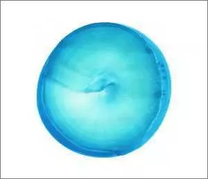 5/25発売 フィッシュマンズ25周年を記念したアニバーサリーイヤー第2弾