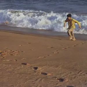 KENJI OZAWA / 小沢健二 / 球体の奏でる音楽