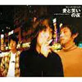 Sunny Day Service / サニーデイ・サービス / 愛と笑いの夜
