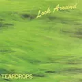 TEARDROPS / ティアドロップス(山口冨士夫) / LOOK AROUND