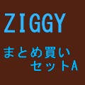 ZIGGY / ジギー / まとめ買いセットA
