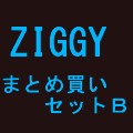 ZIGGY / ジギー / まとめ買いセットB
