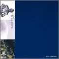 QURULI / くるり / TEAM ROCK