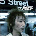 HARRY(村越弘明) / GATEWAY(セルフカバーベスト)