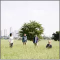 FLOWER COMPANYZ / フラワーカンパニーズ / この胸の中だけ(通常盤)