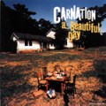 CARNATION / カーネーション / a Beautiful Day(デラックス・エディション)