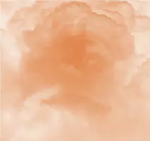 OGRE YOU ASSHOLE / オウガ・ユー・アスホール / 100年後 