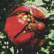 KENJI ENDO / 遠藤賢司 / エンケンロックベスト盤  1996~2012