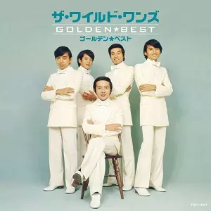 THE WILD ONES / ザ・ワイルド・ワンズ商品一覧｜ディスク