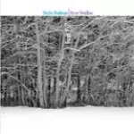 DEIDRE RODMAN/ STEVE SWALLOW / TWIN FALLS