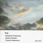 MASAHIKO HOSOKAWA / 細川正彦 / TRIO / トリオ