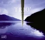 TRIO'( ICHIHARA / HUKUDA /MORI ) / トリオッ(市原康 / 福田重男 / 森