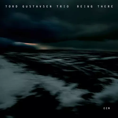 TORD GUSTAVSEN / トルド・グスタフセン / Being There