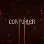 COR FUHLER / コル・フラー / STENGAM / ステンガム