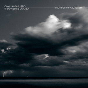 GAVIN AHEARN / ギャヴィン・エイハーン / Flight Of The Arctic Tern(CD-R)