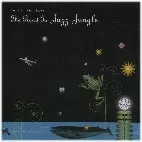 TOSHIKI NUNOKAWA / 布川俊樹 / THE ROAD TO JAZZ JUNGLE / ザ・ロード・トゥ・ジャズ・ジャングル