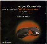 JOE GILMAN / ジョー・ギルマン / VIEW SO TENDER : WONDER REVISITED VOL.2