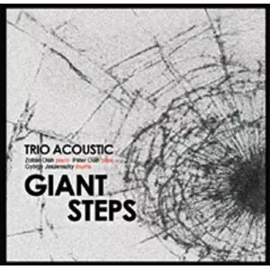 Giant Steps / ジャイアント・ステップス/TRIO ACOUSTIC/トリオ