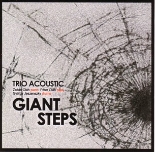 TRIO ACOUSTIC / トリオ・アコースティック / Giant Steps