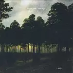 NILS WOGRAM / ニルス・ウォグラム / AFFINITY