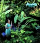 AKEMI OHTA / 太田朱美 / RISK FACTOR / リスク・ファクター