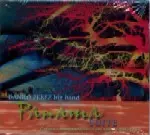 DANILO PEREZ / ダニーロ・ペレス / PANAMA SUITE