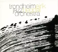 TRONDHEIM JAZZ ORCHESTRA / トロンハイム・ジャズ・オーケストラ / WOOD AND WATER