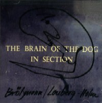 PETER BROZMANN/FRED LONBERG-HOLM / THE BRAIN OF THE DOG IN SECTION