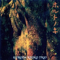 KYOKO KURODA / 黒田京子 / ホルトノキ