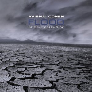 AVISHAI COHEN (TRUMPET) / アヴィシャイ・コーエン / Flood