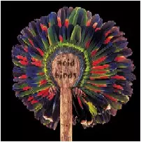 ACID BIRDS / ACID BIRDS