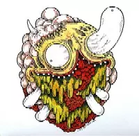 COTTON MUSEUM / NO FACE IN THE BOG