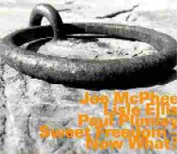 JOE MCPHEE/LISLE ELLIS/PAUL PLIMLEY / SWEET FREEDOM - NOW WHAT?