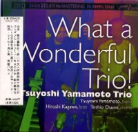 TSUYOSHI YAMAMOTO / 山本剛 / WHAT A WONDERFUL TRIO! / ホワット・ア・ワンダフル・トリオ