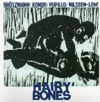 PETER BROTZMANN/TOSHINORI KONDO/MASSIMO PUPILLO/PAAL NILSSEN-LOVE / HAIRY BONES