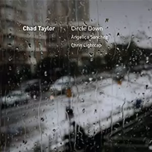CHAD TAYLOR / チャド・テイラー / Circle Down