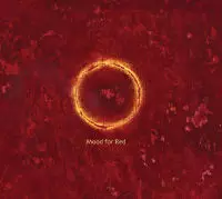 TAKUMI SEINO / 清野拓巳 / MOOD FOR RED / ムード・フォー・レッド