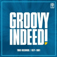 V.A.(GROOVY INDEED!) / V.A.（グルーヴィ・インディード！ ） / GROOVY INDEED! TRIO RECORDS 1971-1981 / グルーヴィ・インディード! トリオ編