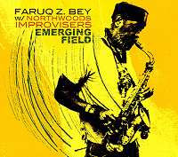 FARUQ Z.BEY / EMERGING FIELD