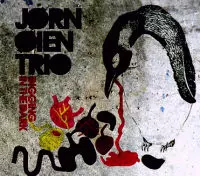 JORN OIEN / DIGGING IN THE DARK